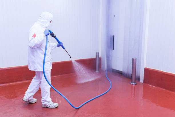 Best Sidewalk and Walkway Cleaning  in Carpendale, WV